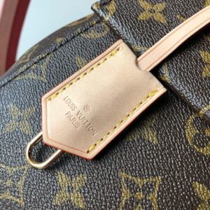 Louis Vuitton CLUNY BB - Image 6