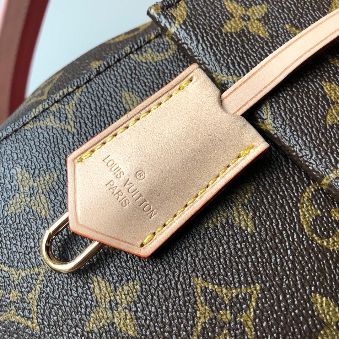 Louis Vuitton CLUNY BB - Image 6