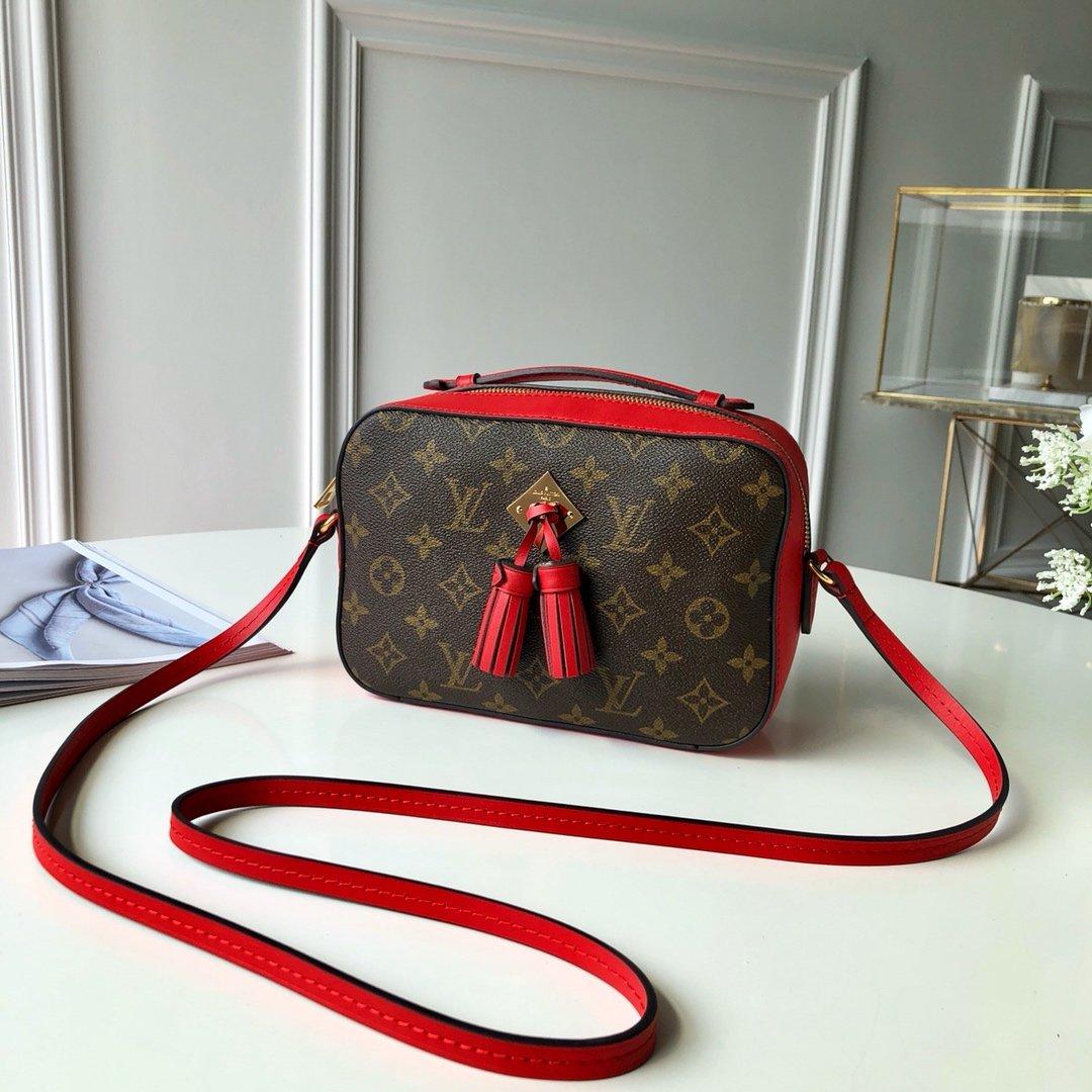 Louis Vuitton SAINTONGE - Image 1
