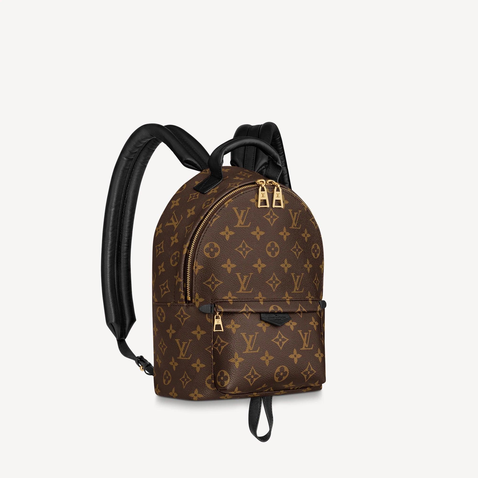 Louis Vuitton PALM SPRINGS PM - Image 1