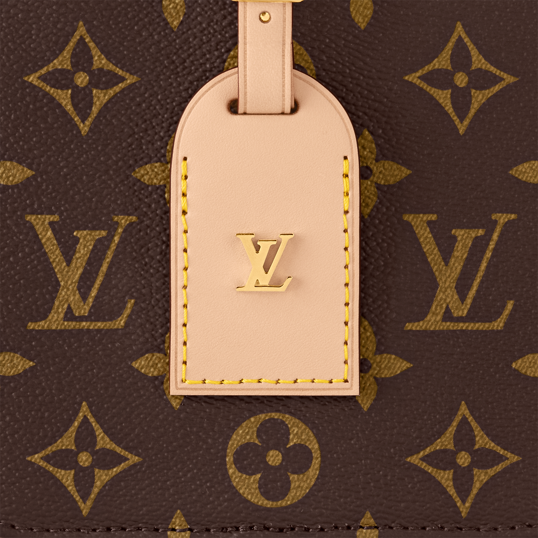 Louis Vuitton Around Me PM - Image 2