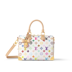 LV x TM Speedy Bandoulière 25 - Image 5