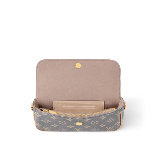 Louis vuitton Wallet on Chain Ivy